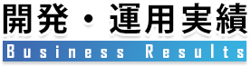 開発・運用実績